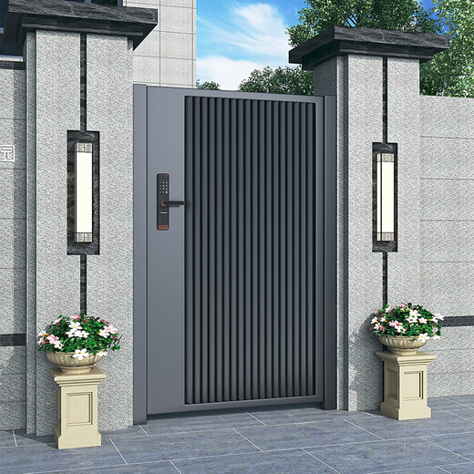 奇立彩别墅庭院门不锈钢单双开现代院子户外门乡村铁艺花园入户门 款式1