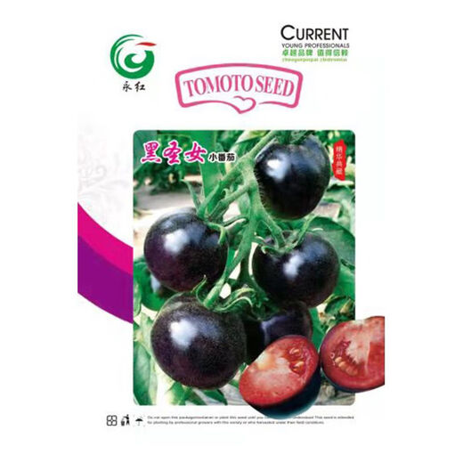 Black Pearl Cherry Tomato Seeds Four-Season Balcony Potted Plants Easy to Grow Black Jewel Tomato Fruit-Type Vegetable Seeds Black Pearl Little Saint Tomato Seeds 6 Trial Seeds Rare and Expensive