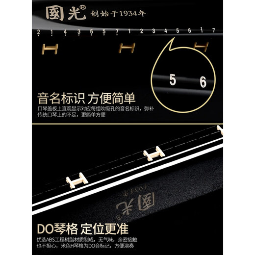 国光口琴24/28孔复音重音c调宽音域口风琴初学者入门学生演奏 28孔 演奏级/国之梦复音宽音域流