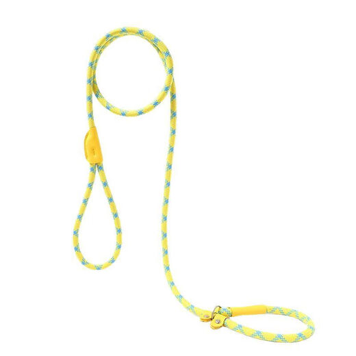 Pet traction rope, special dog leash for outdoor explosion-proof training for dogs, small, medium and large dog p chain, dog walking rope, 1 piece, 1.5 meters/0.6cm, green blue dots, no Specifications