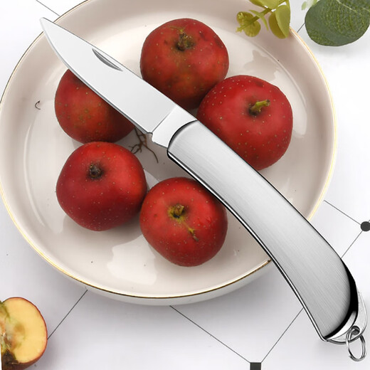 Andena Folding Fruit Knife Household Stainless Steel Fruit Knife Dormitory Student Portable Knife Style All-Steel Folding Fruit Knife 1