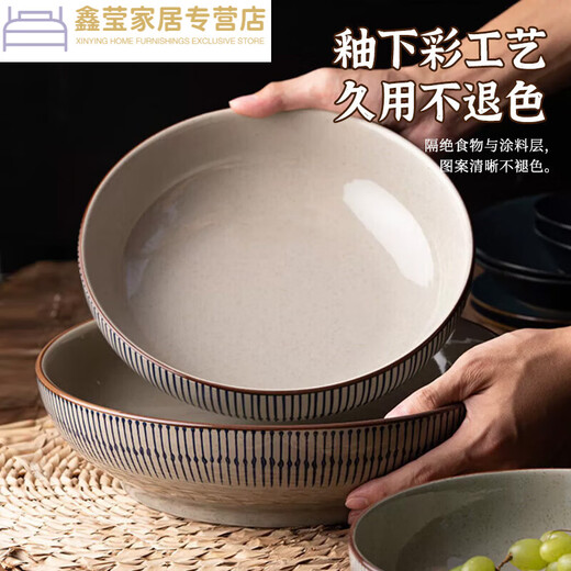 Keramikschale Haushaltssuppe Schüssel Nudel Schüssel Mahlzeit Teller Reisschale Unterglasurfarbene Keramikgeschirr Nudelschale mit Deckel MCFT3899