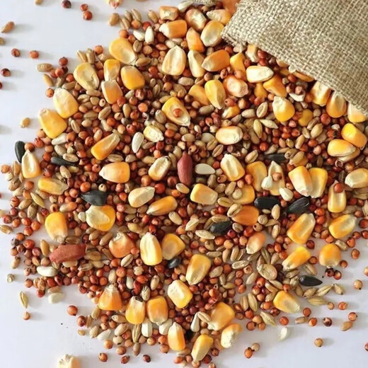 New pigeon food nutrition contains corn 10kg bird food homing pigeon white adult young pigeon ornamental pigeon corn-free pigeon food 5Jin Jin is equal to 0.5 kg