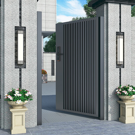 奇立彩别墅庭院门不锈钢单双开现代院子户外门乡村铁艺花园入户门 款式1