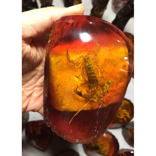 Fat Donglai's same high-quality amber raw stone, artificial amber beeswax raw stone, real insect specimen ornaments, crab Zhizhi original film