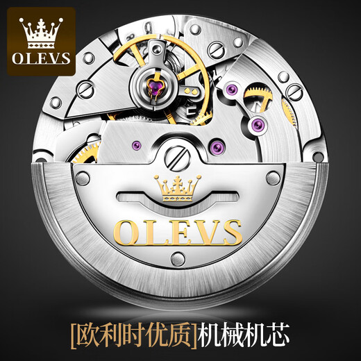 欧利时（OLEVS）品牌手表男机械表全自动镂空男士手表百搭男表防水夜光男式腕表 欧利时-6630男表-钢带间黑