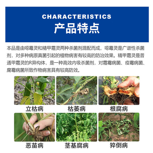 30%精甲霜灵恶霉灵死苗烂根立枯病根腐病枯萎病猝倒茎基腐杀菌剂 500g