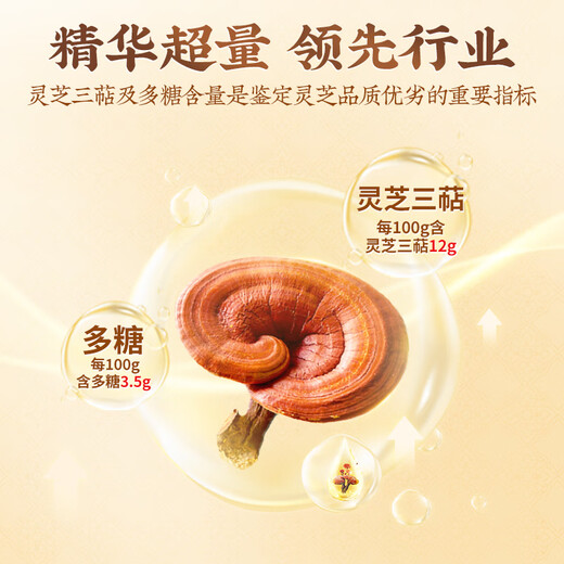 Beijing Tongrentang Break Wall Ganoderma lucidum Spore Powder for Elders Adults and Middle-aged People to Enhance Immunity 40g (20g*2 Boxes)