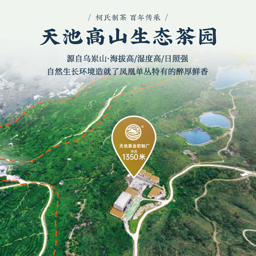 天池乌龙茶凤凰单枞茶叶凤鸣系列鸭屎香精品口粮茶1392节日送礼自饮 凤鸣·蜜兰香60g