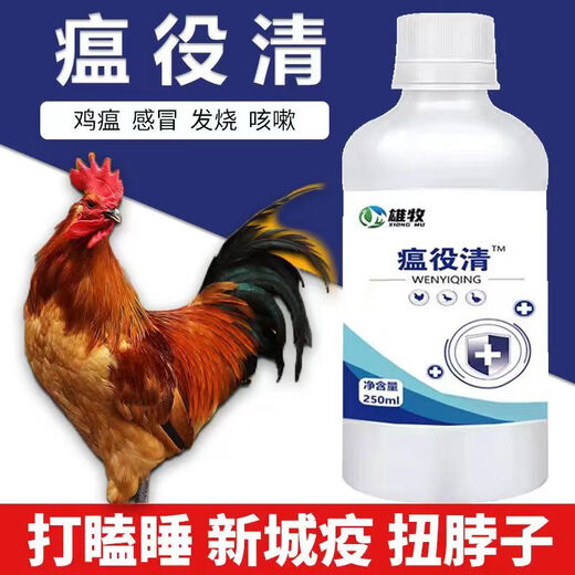 Xiong Mu Wen Ye Qing raises chickens, ducks and geese with malaise and plague, prevents chicken plague, coughs and snores, poultry feed additives 1 bottle of Wen Ye Qing 250ml