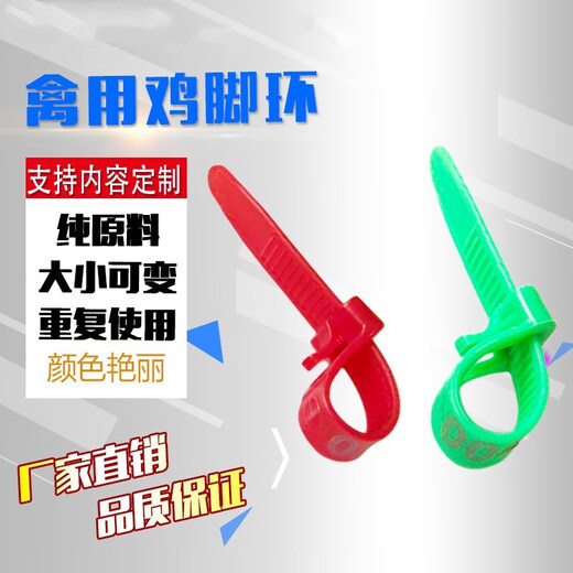 Chaoming (CHAOMING) Tuojin mark ring chicken logo plastic chicken foot ring with various numbers duck custom-made farm button label sign without words purple 50 pcs