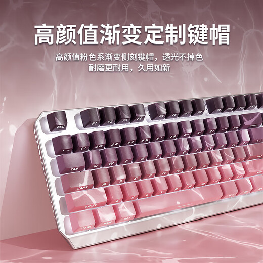 前行者（EWEADN）TK870无线蓝牙机械键盘鼠标套装有线三模可选黑莓侧刻高颜值客制化办公游戏电脑笔记本平板iPad用 银白正刻87键白光【有线键盘】 茶轴【办公码字】