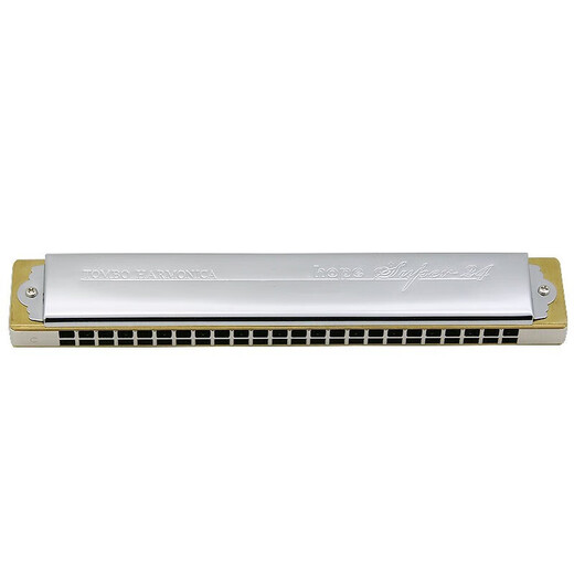 Tombo Tongbao Collection harmonique 6624s Tous-tunnel polyphonique 12 de la grille en cuivre en métal pour débutants Performance au niveau professionnel [Grille en métal complète] Tunnel polyphonique C polyphonique à 24 trous