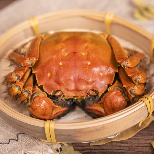 Live crab Yangcheng Xiaoyao hairy crab fresh crab gift box river and lake seafood male 4.7-5.0 female 3.7-4.0 two 4 pairs 8 pieces straight from the source