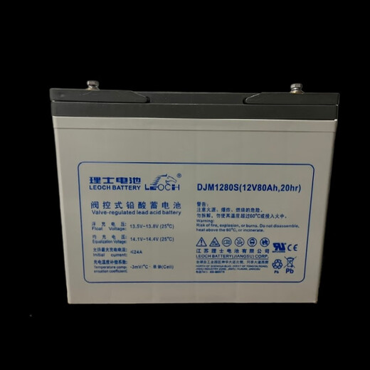 瑞谧蓄电池DJM1280S免维护12V80AH铅酸UPS直流屏EPS专用船舶机房 型号DJM12200S容量12V200