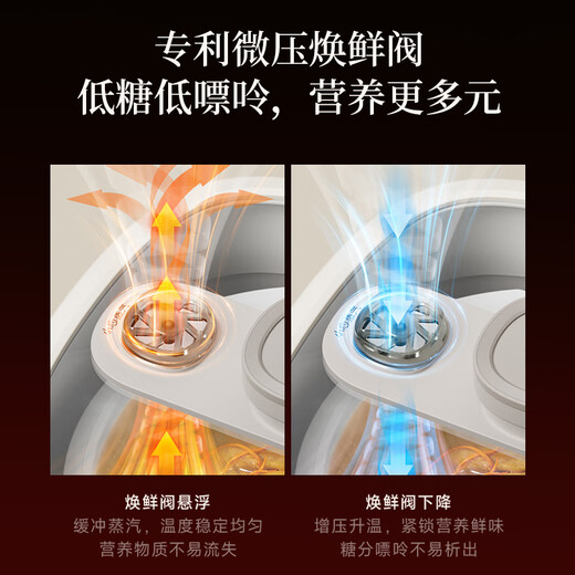 Bear electric stew pot stew pot water-proof stew pot stew pot bird's nest stew pot baby porridge electric stew pot 4.1L household 3-4 people micro-pressure electric stew pot DDZ-J25G2