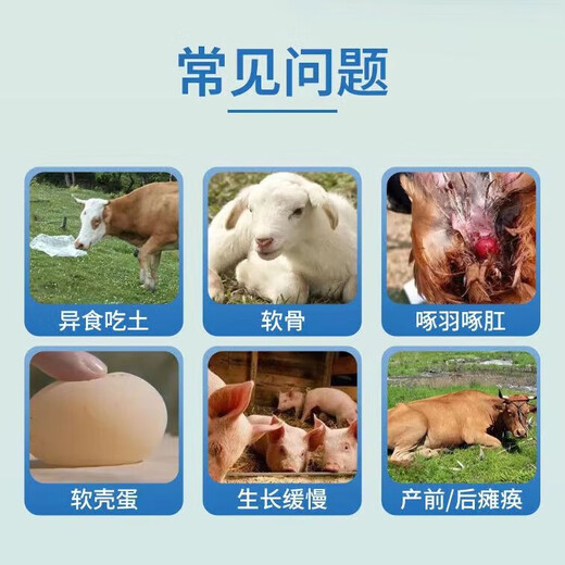 Xiongmu multi-potent calcium for veterinary use, special calcium supplement for poultry, pigs, cattle and sheep, high calcium to promote growth, nutrition and bone strengthening, feed additive multi-potent calcium 2 bags