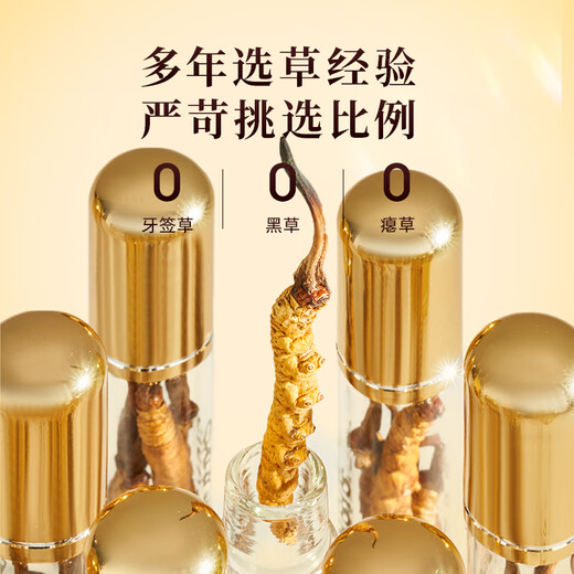 Yuanjiang Grass Cordyceps Cordyceps King 2-3 raíces/G 10 gramos Alrededor de 25-30 raíces para dar cajas de regalo a los ancianos Día del Padre Regalos