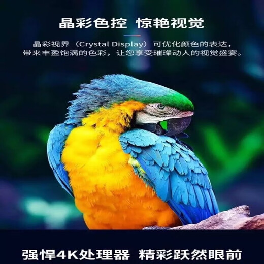 Konjia Meitu 75 pouces intelligent ultra-clair WiFi réseau TV moniteur salon anti-déflagrant couleur TV intelligence artificielle voix 65 pouces anti-déflagrant version réseau vocal 125*74 cm