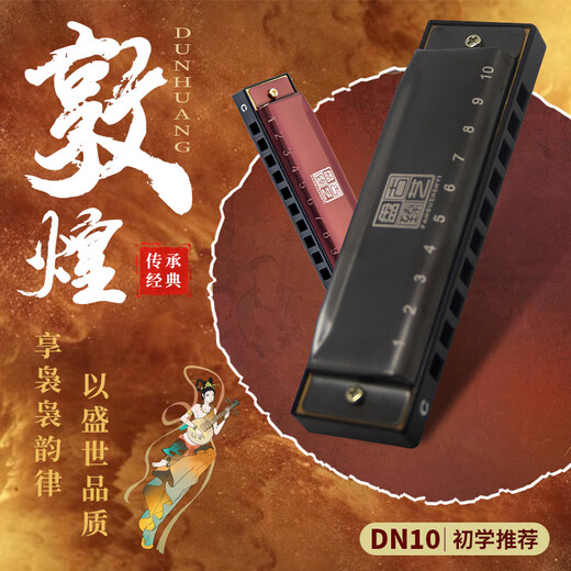 敦煌 盘古臻艺 10孔布鲁斯口琴 DN10 黑色 C调 初学推荐	