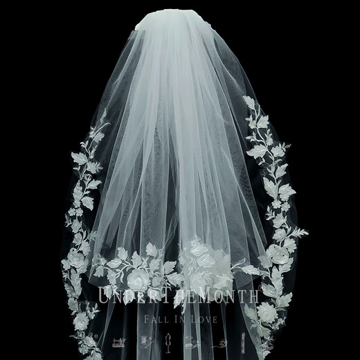 Biyun Bride Wedding Main Wedding Veil Super Fairy Style Photo Studio Shooting Props Double Layer White Simple Lace Veil One layer 70 and one layer 95 plus hair comb 60cm80cm