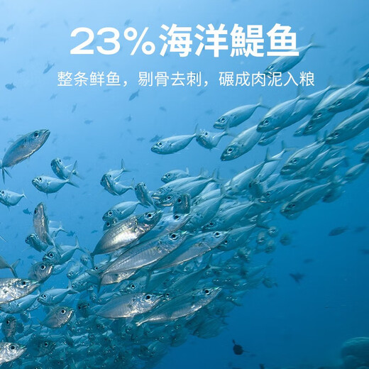 Gaoye's Cat Food Probiotic Fish Flavor Cat Food Grain-Free Full Price Added Freeze-Dried Raw Bone and Meat Cat Food for Adults and Kittens Fish Probiotic Cat Food Trial 50g