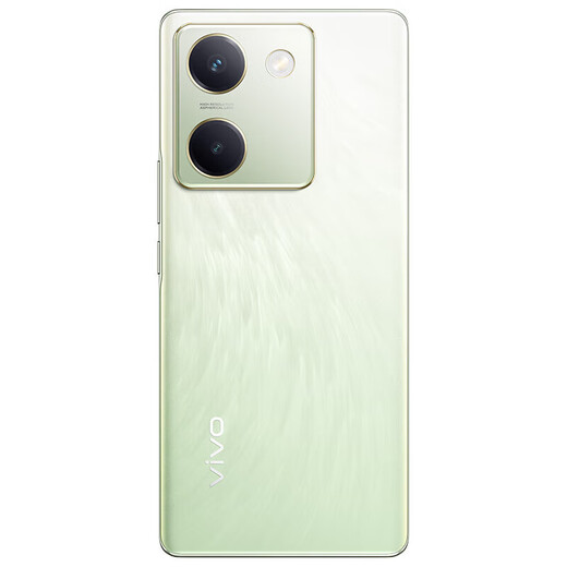 VIVO Y100 超薄5000mAh电池 6400万OIS光学防抖 44W超快闪充 5G全网通手机 Y100-骁龙695芯片-琉云青 12GB+256GB