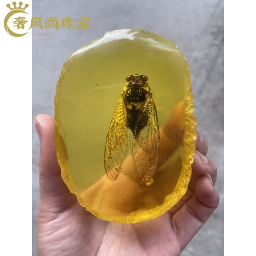 Fat Donglai's same high-quality amber raw stone, artificial amber beeswax raw stone, real insect specimen ornaments, crab Zhizhi original film