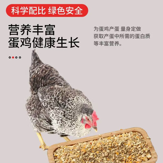 Laying hen feed full price feed chicken corn crumbs laying hen medium large chicken household chicken food duck quail chicken feed 80Jin Jin is equal to 0.5 kg layer hen feed