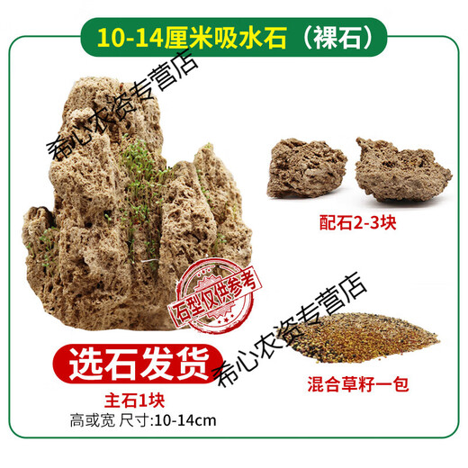 OIMG absorbent stone landscape absorbent stone rockery bonsai natural landscaping raw stone rockery stone courtyard rockery natural raw stone 10-14CM absorbent stone (pot not included)