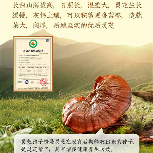 北京同仁堂灵芝孢子粉破壁灵芝孢子粉长白山林芝包子粉中老年免疫年货送礼盒 4盒【1g*30袋/盒】+礼袋