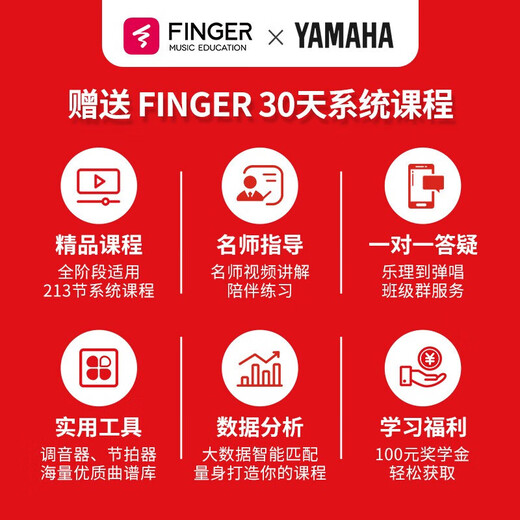 雅马哈FG5/FG3/FGX3/FGX5/FS5/FS3红标雅马哈全单民谣吉他电箱专业吉它 FG3原声款-全单41英寸【国产】