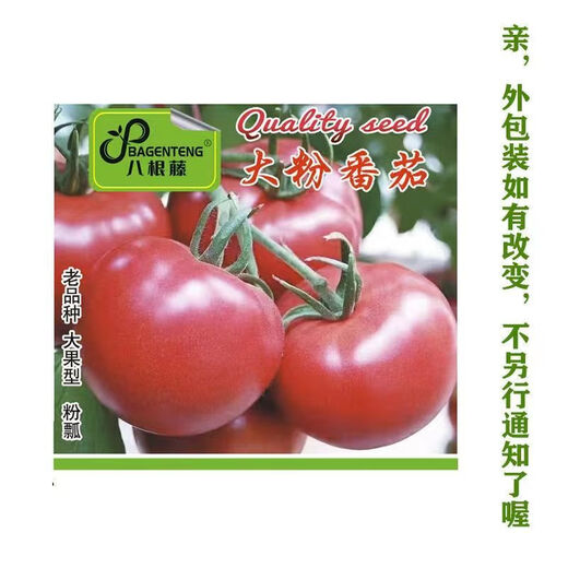 Farmer's Big Pink Tomato Seeds Big Red Four Seasons Woolly Pink Persimmon Seeds Tomato Seedlings Balcony Garden Vegetable Seeds Big Tomato Seeds 366 + Song Fertilizer