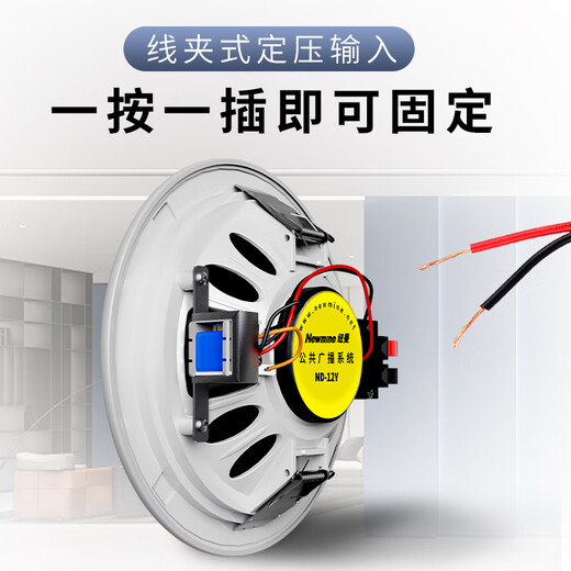 纽曼（Newmine）R19 吸顶音响套装蓝牙定压功放机公共广播家用客厅商用会议店铺背景喇叭嵌入式隐藏吊顶音箱一拖二