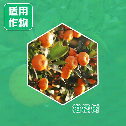 Guoguang Plant Source 2% Benzylaminopurine Rose Fruit Tree Flower Flowering and Germination Preserving Flower and Fruit Cytokinin 10m 1000ml