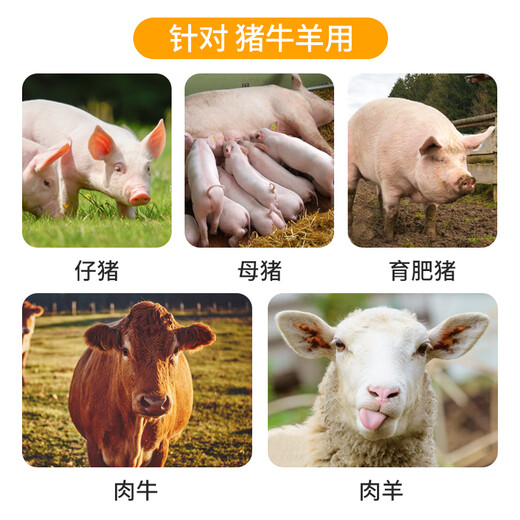 Animal Husbandry 24 Jinwei Liquid Veterinary Electrolytic Multi-dimensional Amino Acid Vitamins Feed Additive for Layers, Ducks, Pigeons, Sows, Cattle and Sheep 24 Jinwei Liquid 500ml/bottle Concentrate