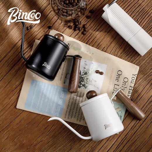 Bincoo hand brewing kettle small mini portable coffee pot long mouth thin mouth pot stainless steel hanging ear coffee kettle