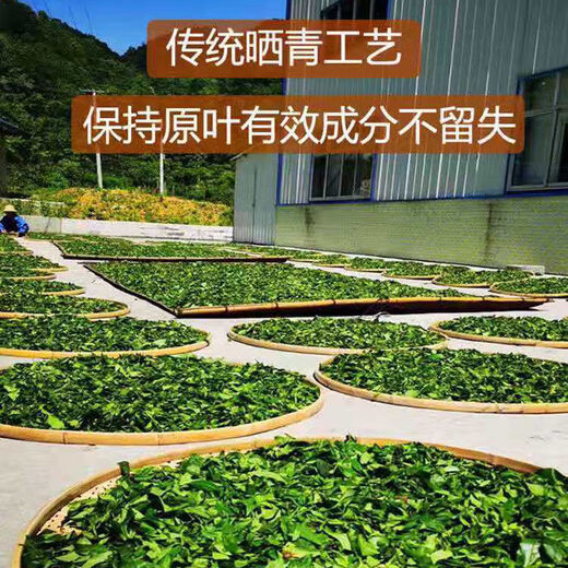Jiangxi xiushui дикий аутентичный Qingqian liuyuan листья борьба с чаем сахар Qingqian liujin liu китайский трацент