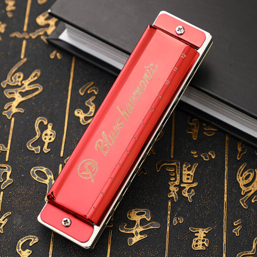 雁鹏丽声高档初学者十二孔树脂格布鲁斯口琴低音加faLa 12孔 红色 C调（初学者专用）