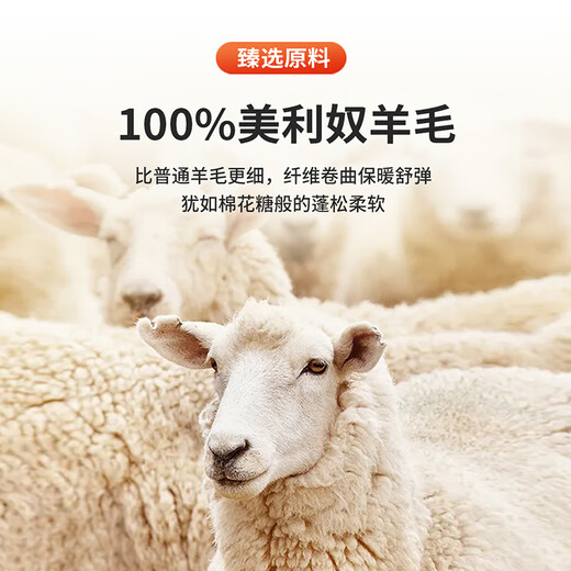 Antonio 100% sheep wool round neck soft, waxy, comfortable, skin-friendly and thickened new men's pullover warm wool sweater