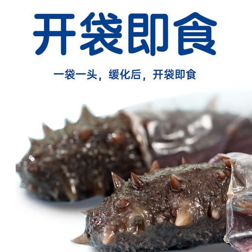 Haiyantang Dalian frozen ready-to-eat sea cucumber 1 Jin Jin is equal to 0.5 kg, 10-12 pieces, Liao sea cucumber seafood and aquatic products nourishing New Year gift box