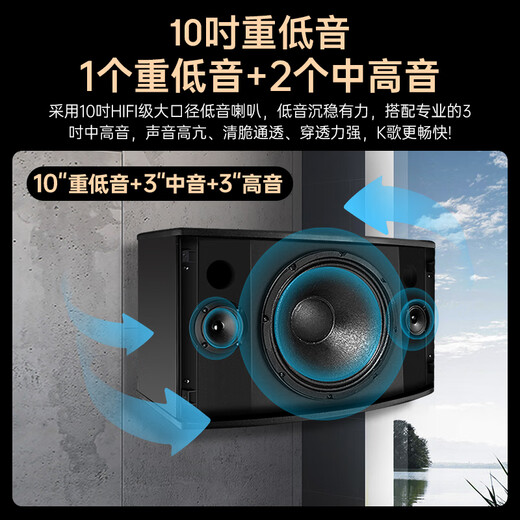 Hyundai Modernes Heimkino-Gesangsmaschine KTV Audio Set High-Power-Verstärker Karaoke Home Singing Equipment Wohnzimmer Konferenzraumkartenpaket Lautsprecher [Professionelle Version] 10-Zoll-Audio-Gesangsmaschine + 10-Zoll-Subwoofer