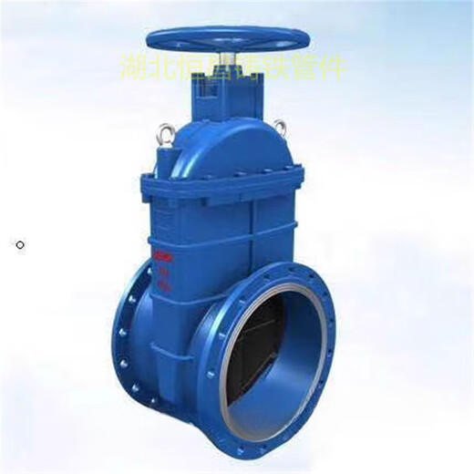 Factory direct sales ductile iron soft seal flange gate valve DN50-DN600 water supply flange valve fittings DN250