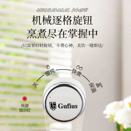 古菲斯（GUFIUS）多功能养生壶 煮茶壶 玻璃茶壶 智能保温烧水壶 电热水壶 养生杯 GFYB-1105 白色0.6L 养生壶