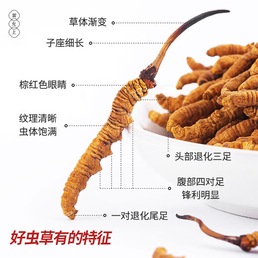 雷允上【官方】冬虫夏草 高端礼盒高档补品送人长辈父母礼盒 【虫草礼商，合作繁昌】5根/g 20g约100根
