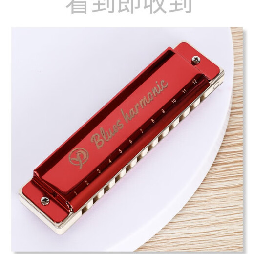 雁鹏丽声高档初学者十二孔树脂格布鲁斯口琴低音加faLa 12孔 红色 C调（初学者专用）