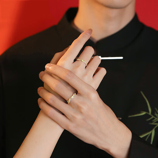 Dirholl Concentric Lock Platinum Ring PT950 Couple Ring Birthday 520 Valentine's Day Gift for Girlfriend and Wife Light Luxury Style - Concentric Lock Pair of Rings - No Engraving