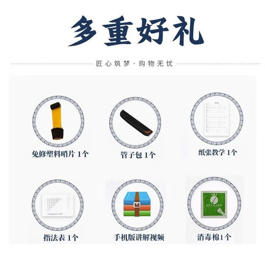 韩琴侠乌木催泪管管子乐器全套吹奏初学者成人笛子管乐民族乐笛演奏 A调 镀金箍管子+6