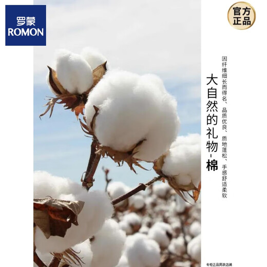 罗蒙（ROMON）【棉质面料】品质中老年爸爸秋装外套男士翻领夹克衫春秋季上衣 AL-K2122卡其 M 17060斤到90斤
