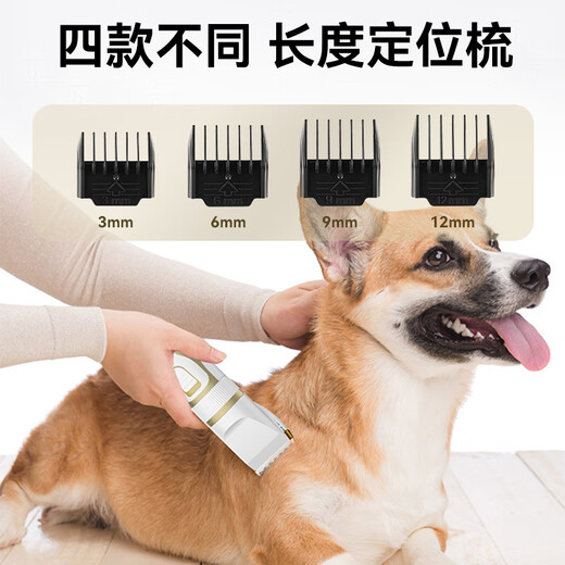 Zhenyou pet pet shaver dog and cat hair clipper electric clipper foot hair trimmer hair clipper whole body hair clipper supplies platinum